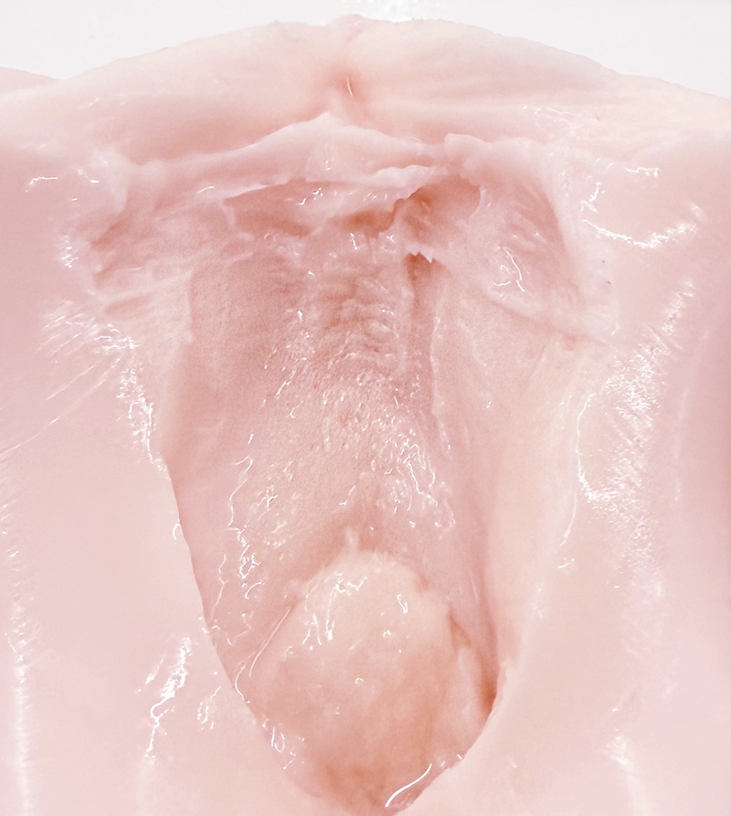 SENSBODY GODDESS Asia 13.H Nanase Alice Soft – Realistic Onahole & Male Masturbator センスボディ 七瀬アリス リアル オナホール